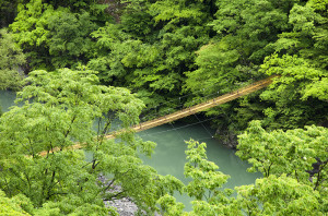 夢のつり橋