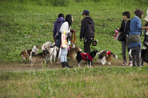 多摩川　 マル君の友達？