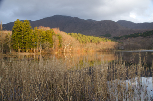 観音沼森林公園