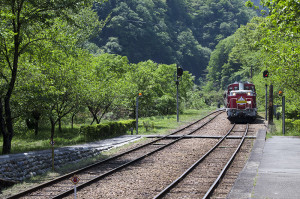 わたらせ渓谷鉄道　トロッコ